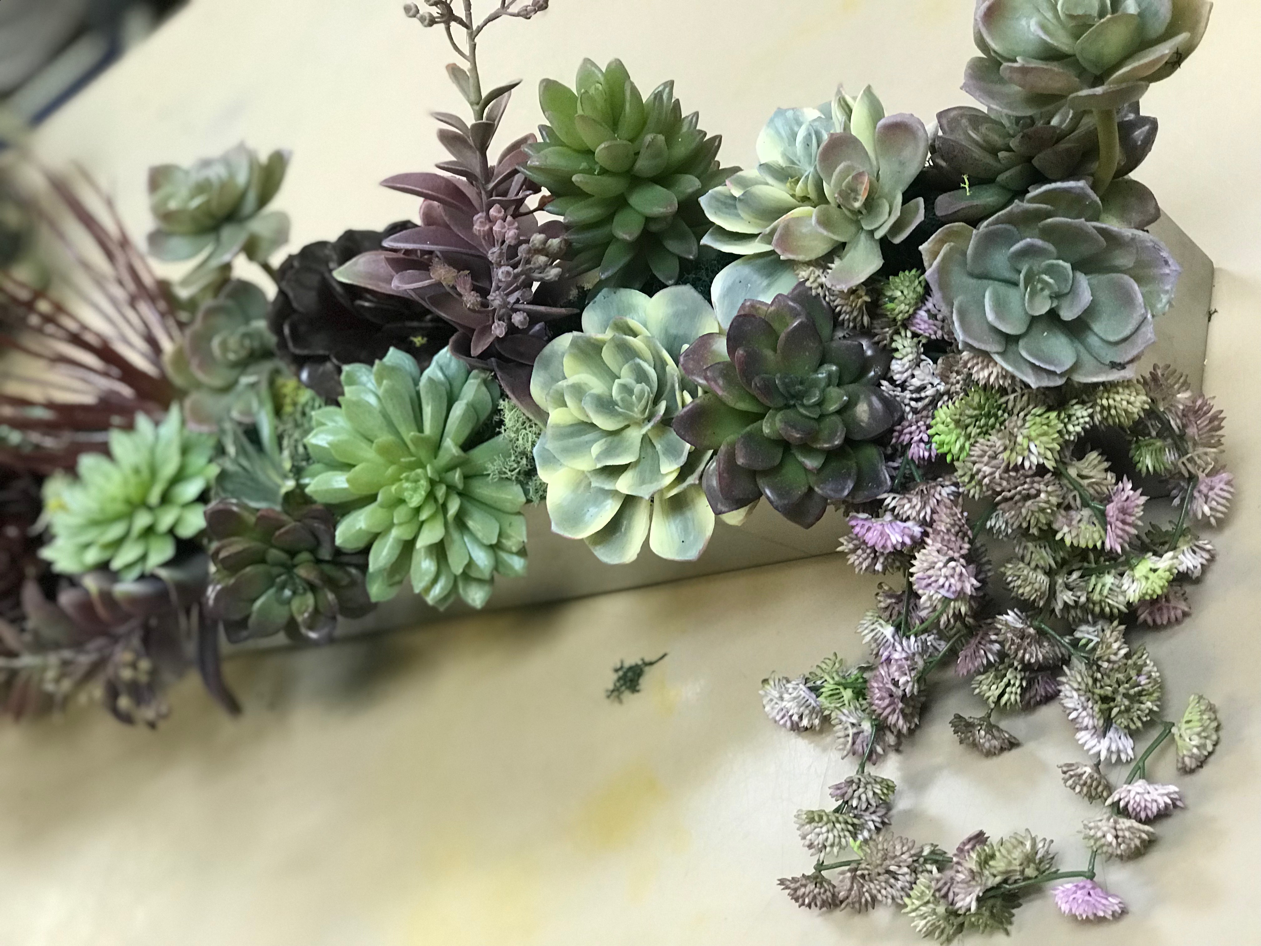 Succulent garden design